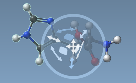 Controllers of the Move editor