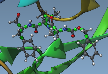 Rotatable bonds in ligand