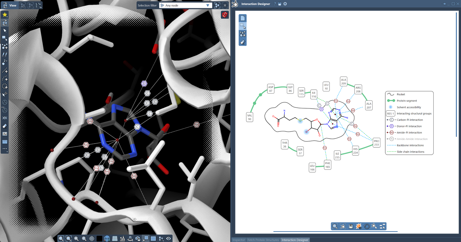 Interaction designer: protein segments