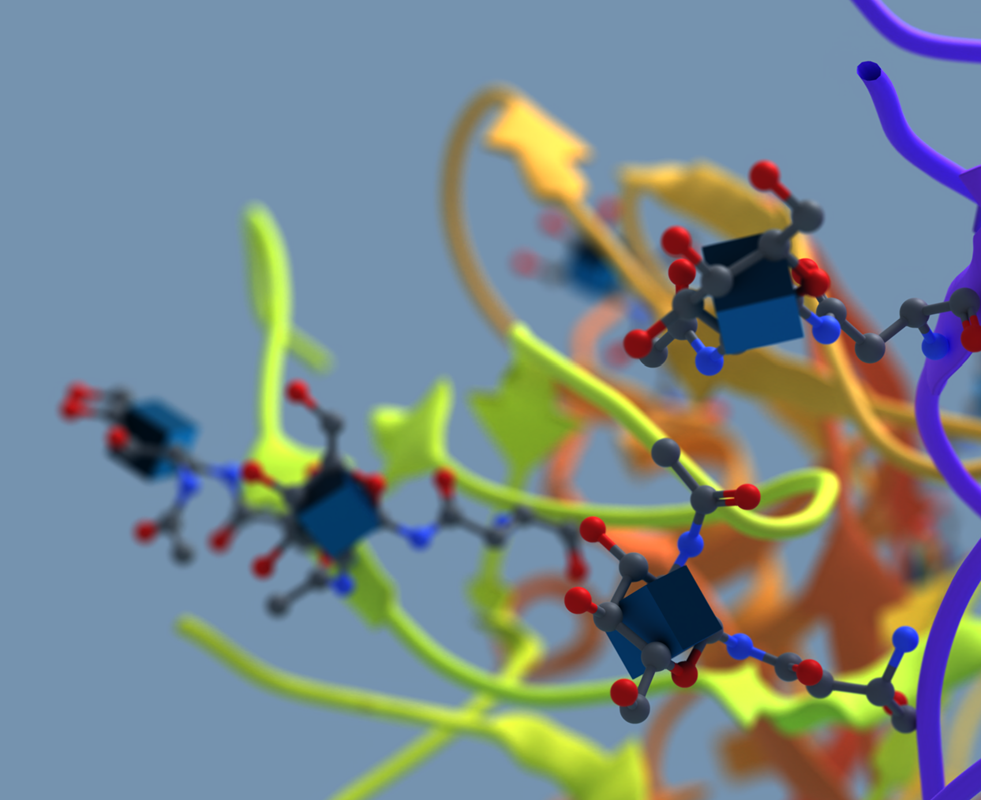 Glycans