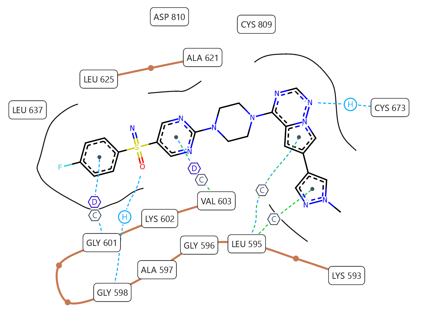Interaction Designer