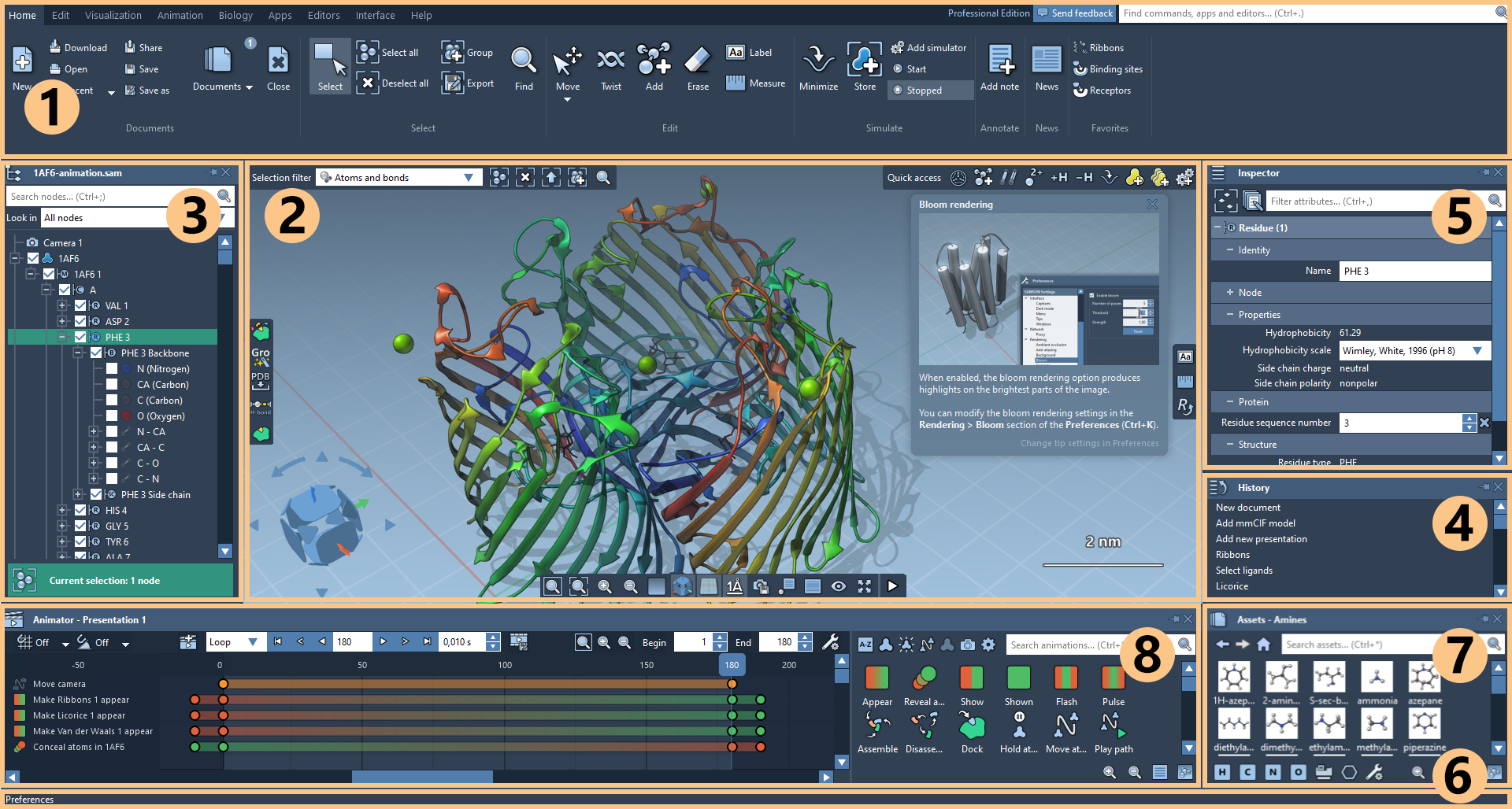 The SAMSON interface