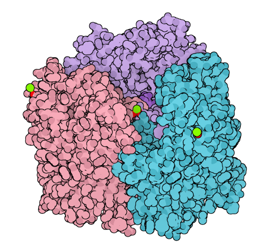 Illustrative visualization and rendering