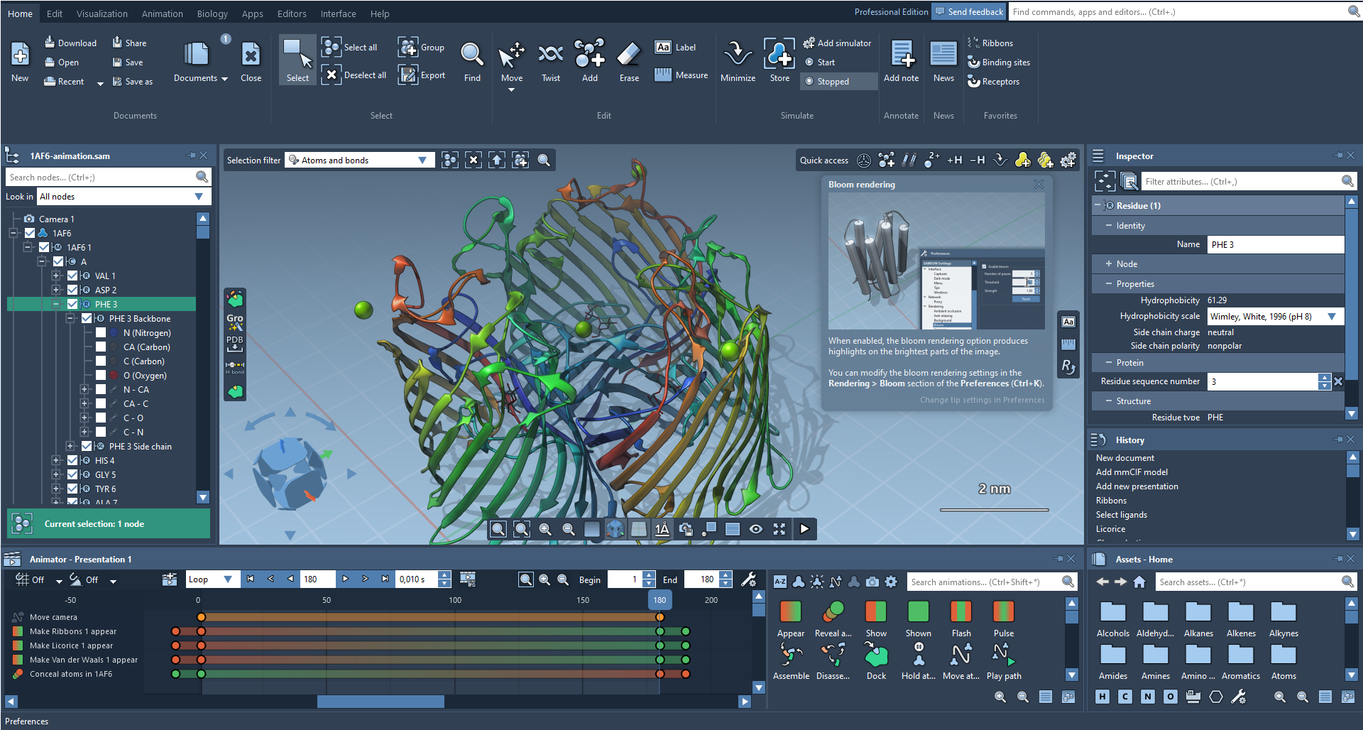 The SAMSON interface