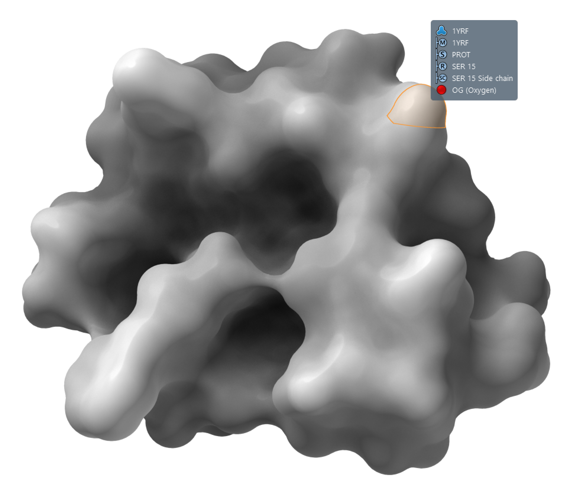 Highlighting residues on the Solvent Excluded Surface