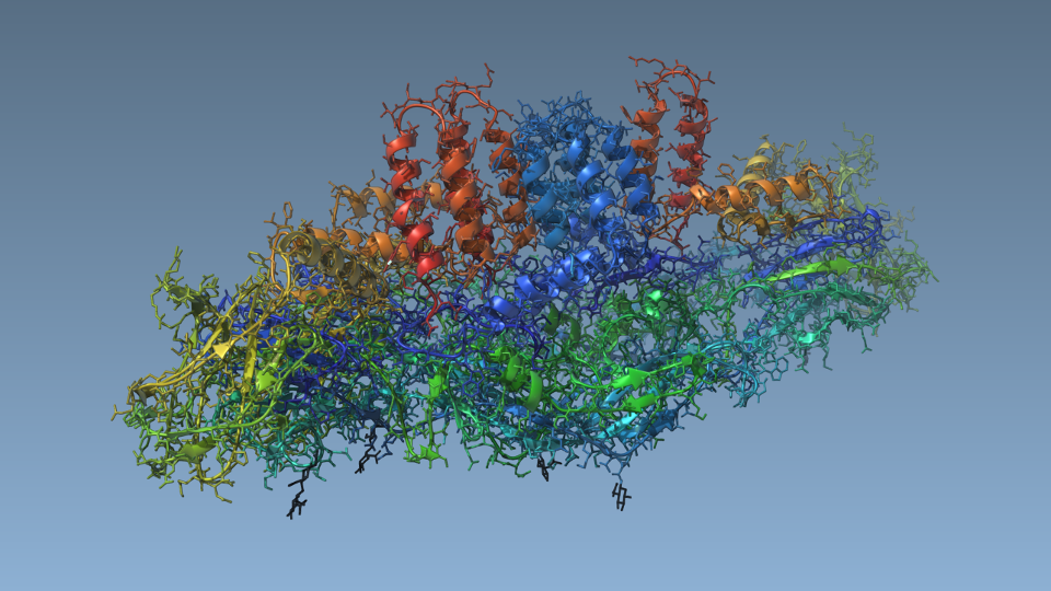 The Viewport with a visual representation of a molecule